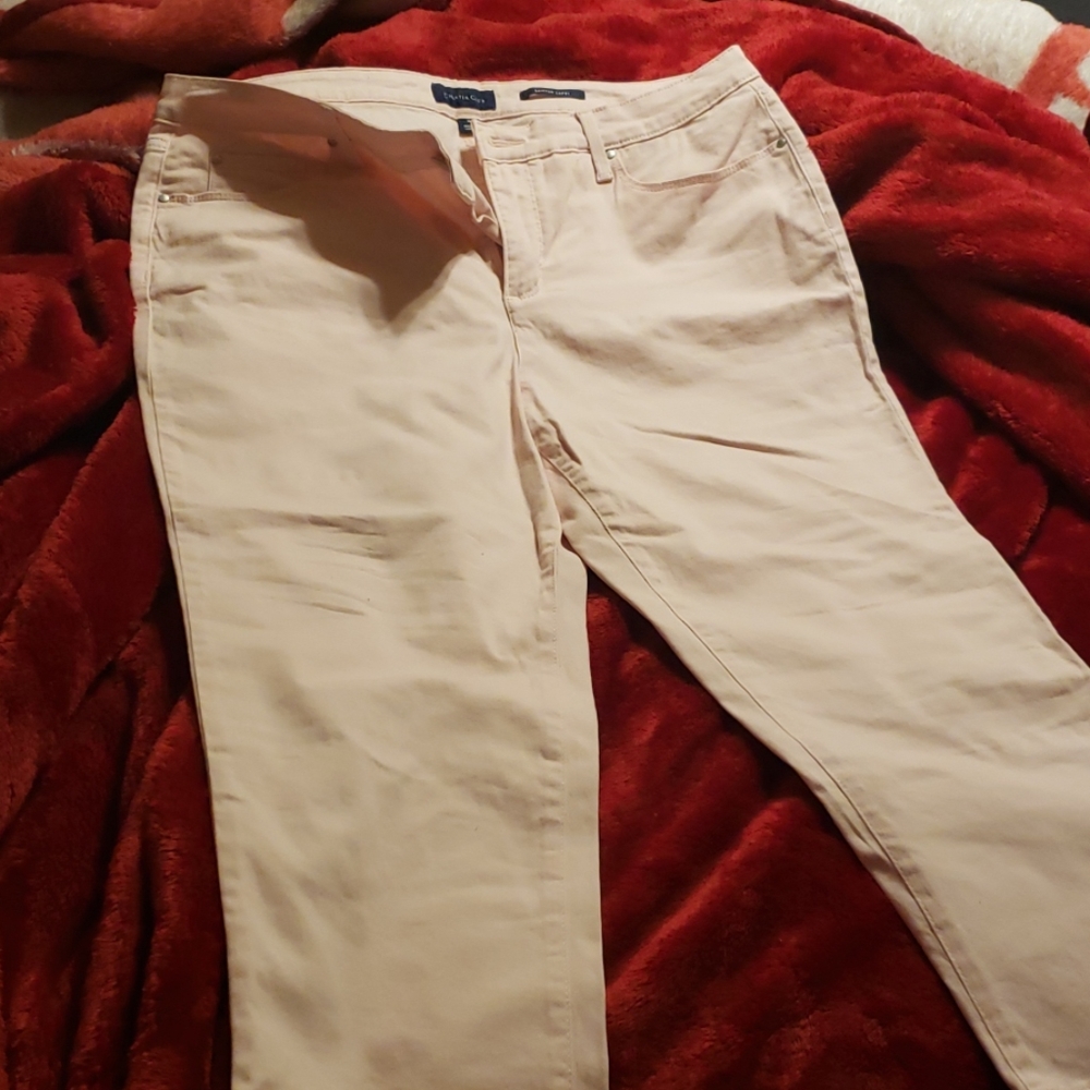 Capris - Picture 3 of 3